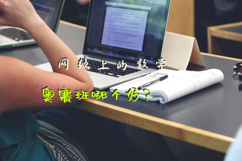 网络上的数学奥赛班哪个好？