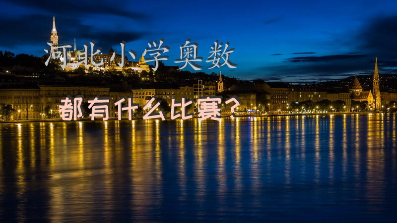 河北小学奥数都有什么比赛？