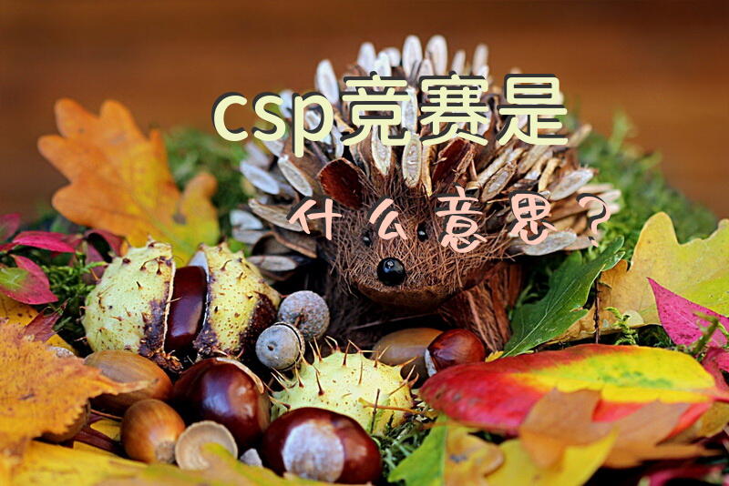 csp竞赛是什么意思？