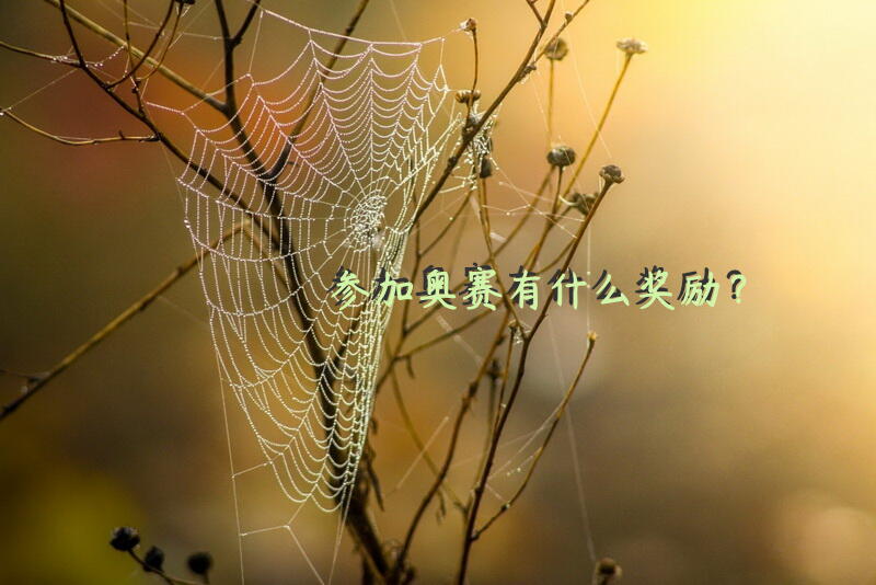 参加奥赛有什么奖励？