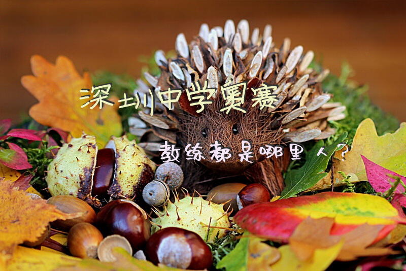 深圳中学奥赛教练都是哪里人？