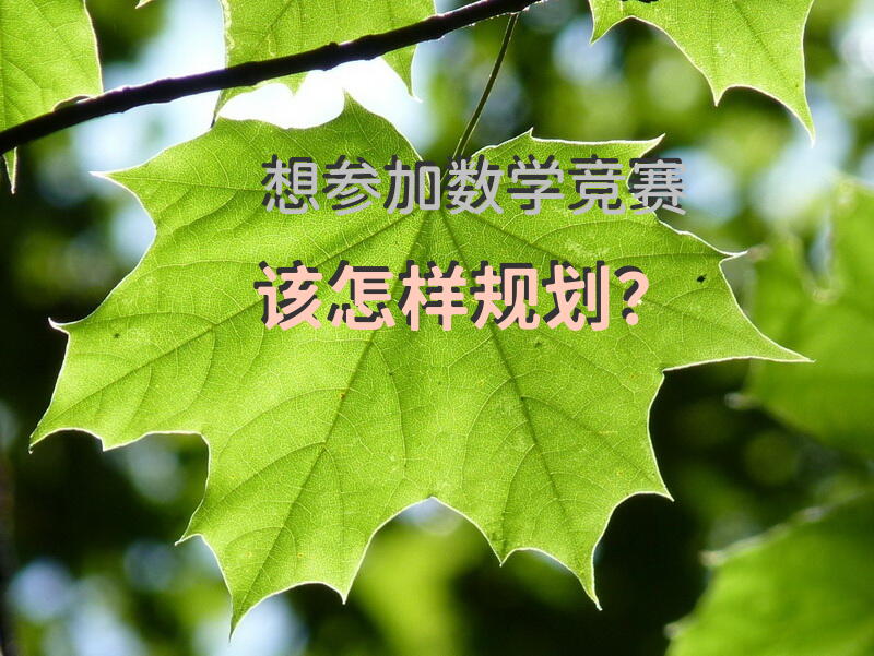 想参加数学竞赛该怎样规划？