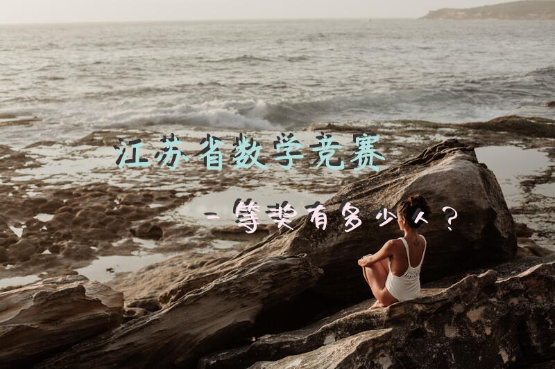 江苏省数学竞赛一等奖有多少人？