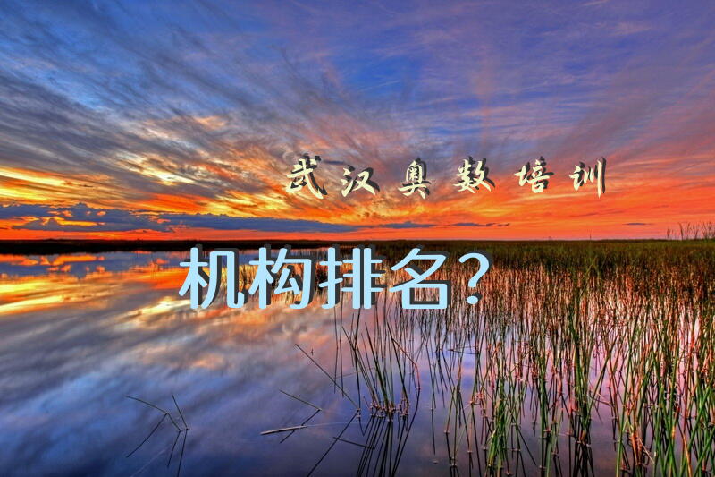 武汉奥数培训机构排名？
